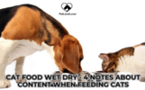 The Best Cat Food Wet Dry: The Comprehensive Guide to Choosing