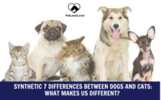 Synthetic 7 Differences between dogs and cats: What makes us different?