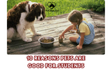 10 REASONS PETS ARE GOOD FOR STUDENTS