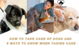 HOW TO TAKE CARE OF DOGS AND 5 WAYS TO KNOW WHEN TAKING CARE