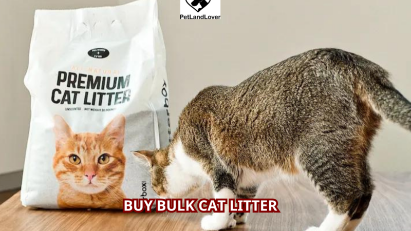 Buy Bulk Cat Litter