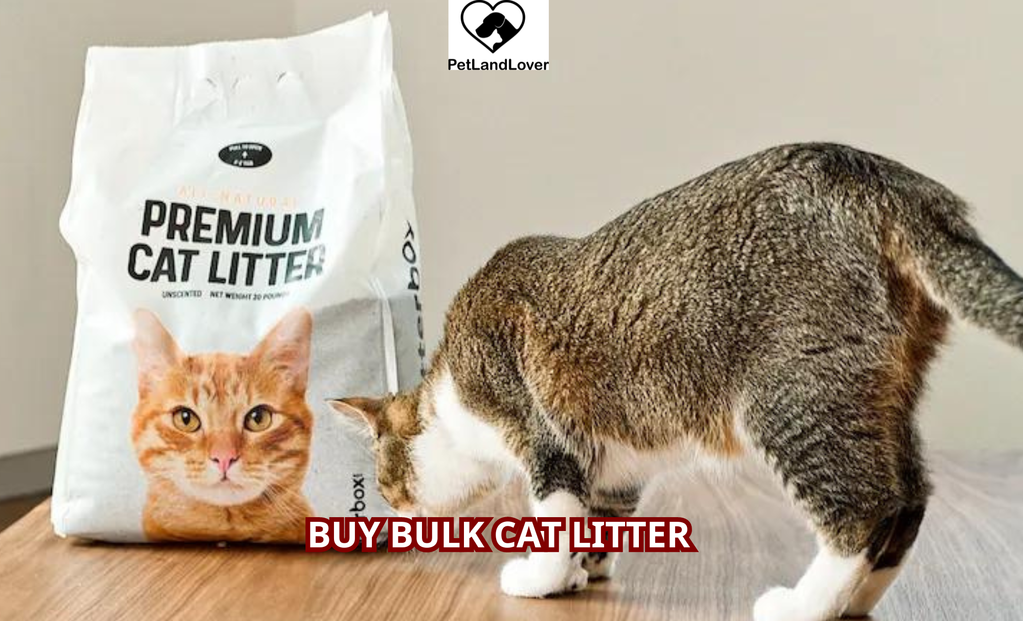 Buy Bulk Cat Litter