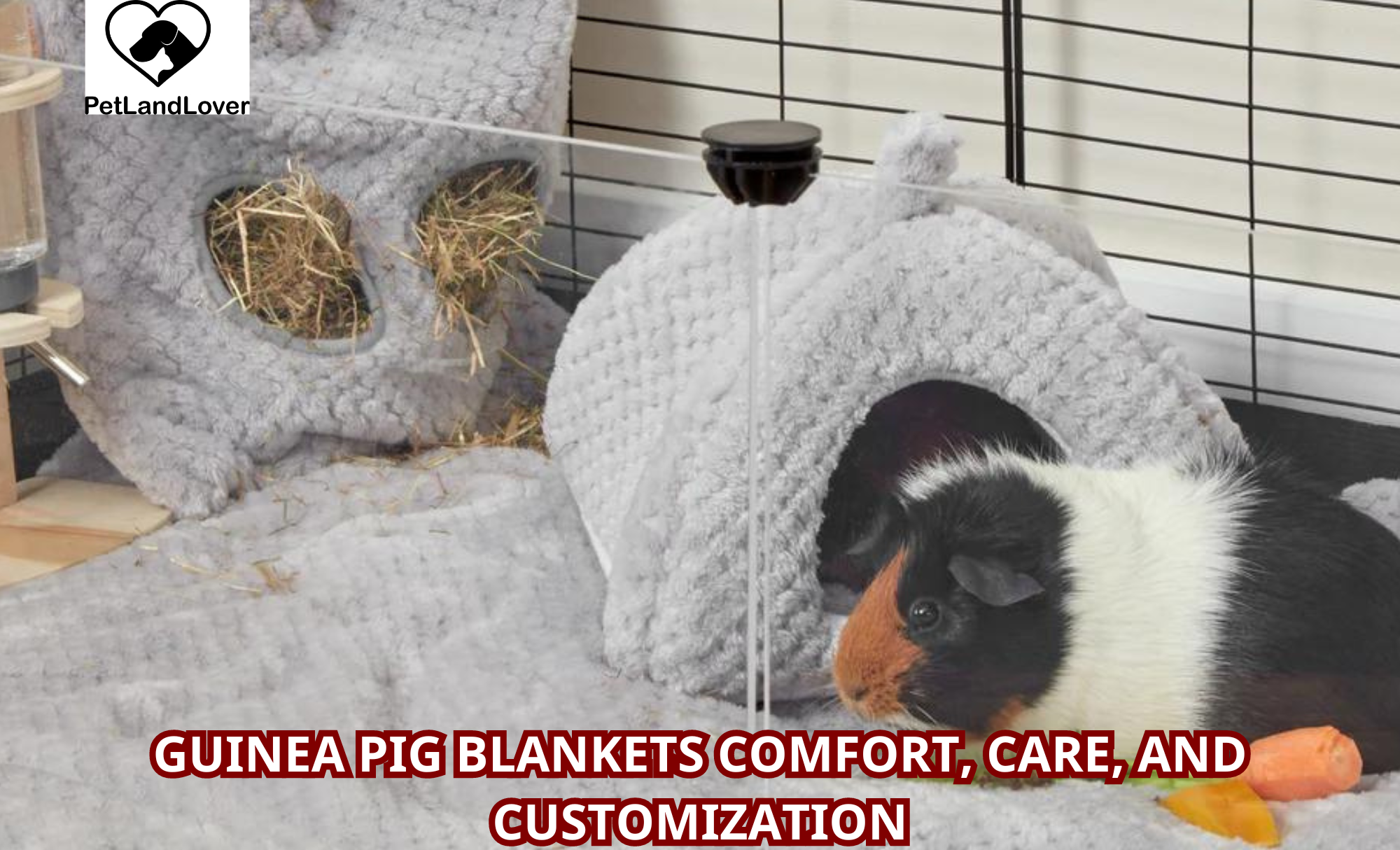 Guinea Pig Blankets Comfort, Care, and Customization