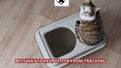 Best way to keep litter from tracking