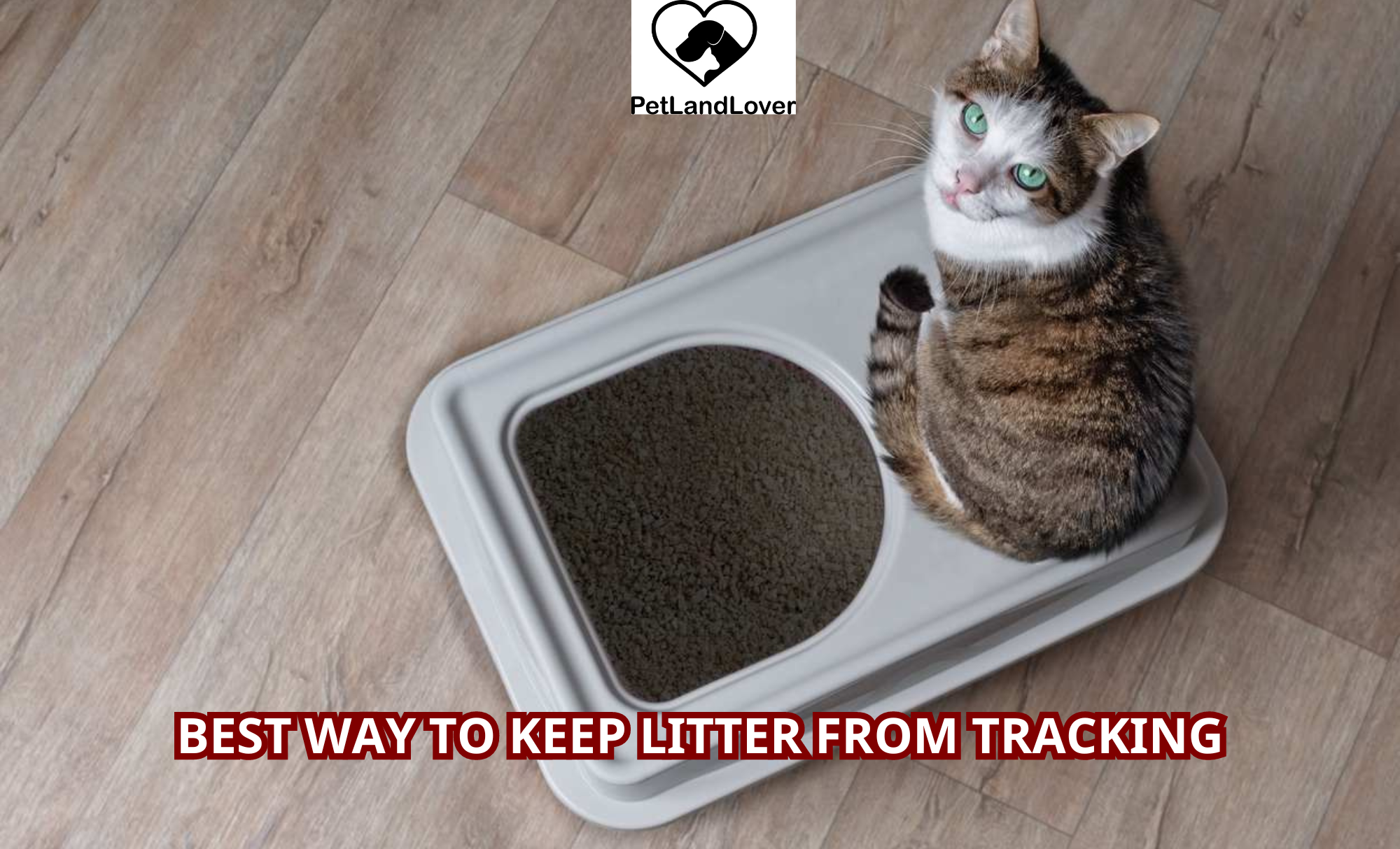 Best way to keep litter from tracking