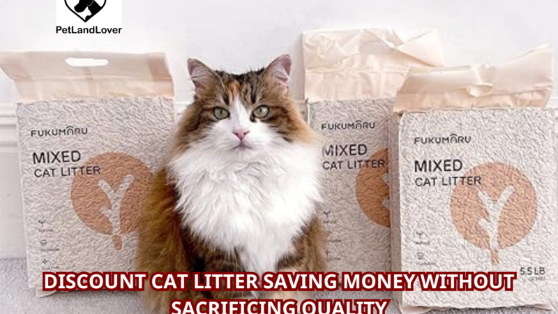 Discount Cat Litter Saving Money Without Sacrificing Quality