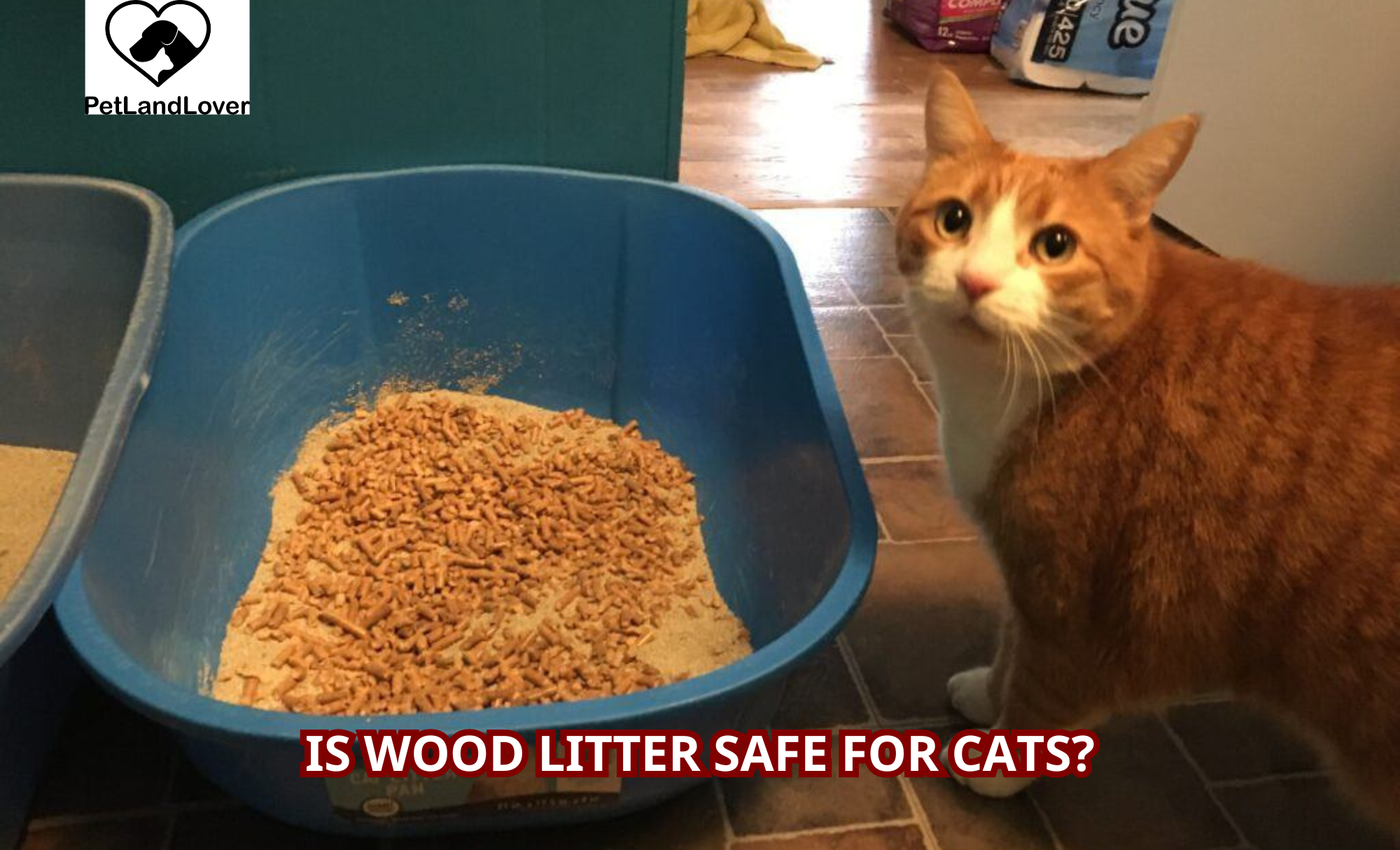 Is Wood Litter Safe for Cats?