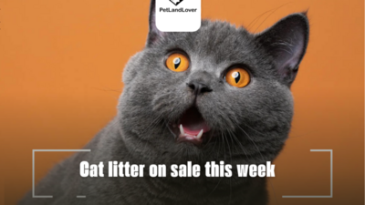 Cat litter on sale this week