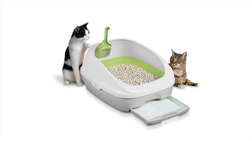 Implementing Litter Box Best Practices