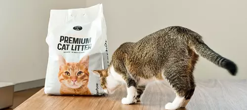 buy bulk cat litter