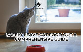 101 Things Safely Leave Cat Food Out A Comprehensive Guide