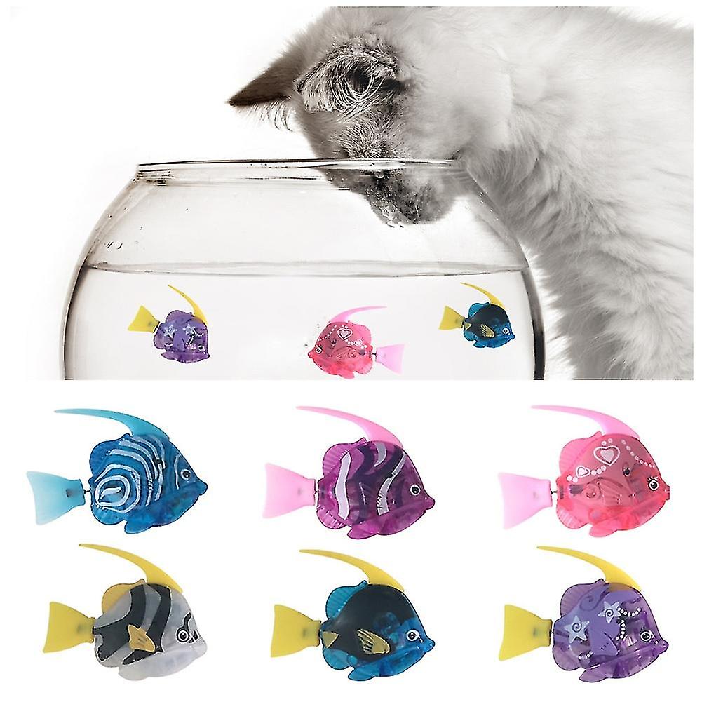 The Captivating Allure of Cat Toy Aquariums