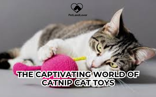 The Captivating World of Catnip Cat Toys