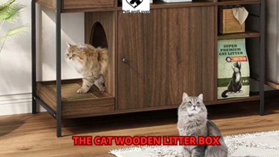 The Cat Wooden Litter Box