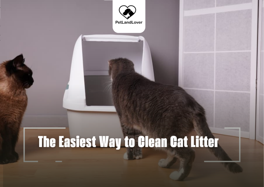 The Easiest Way to Clean Cat Litter