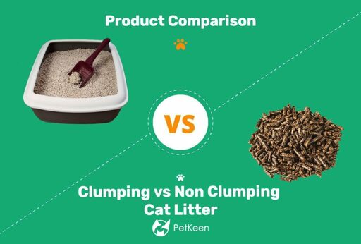 The Litter Box Conundrum: Navigating Clumping and Non-Clumping Options