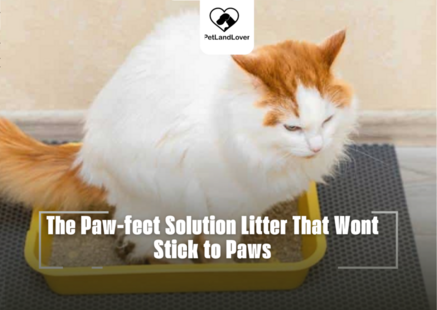 The Paw-fect Solution Litter That Wont Stick to Paws