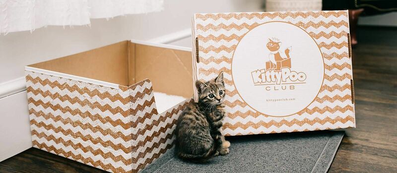 The Top Cat Litter Subscription Services