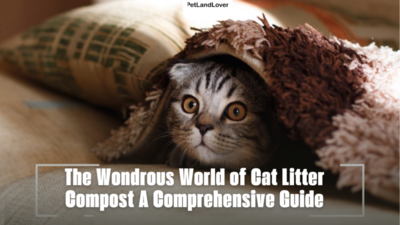 The Wondrous World of Cat Litter Compost A Comprehensive Guide