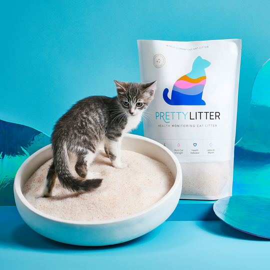 Types of Cat Litter Available in Subscription Services