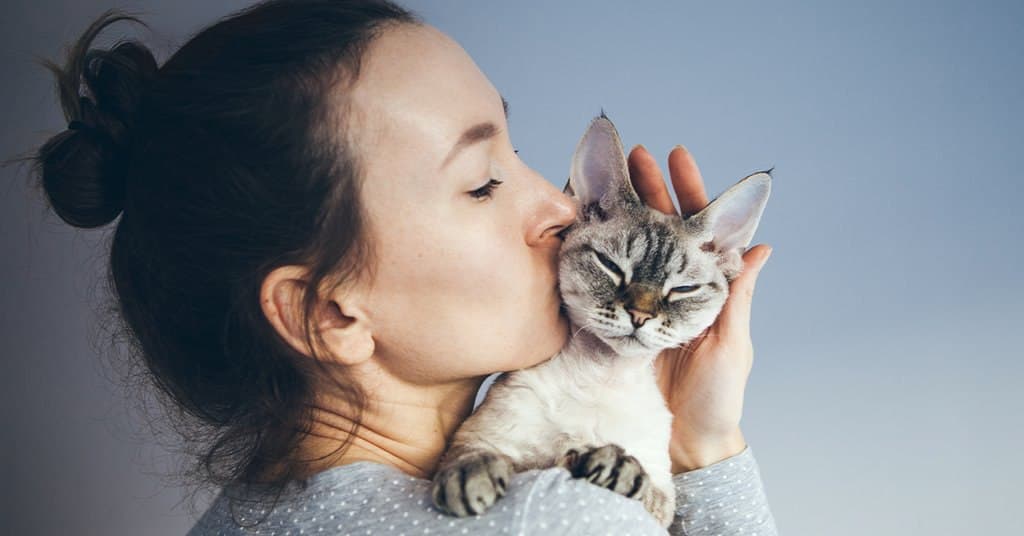 Why Cats are the Best Pet