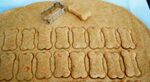 Carrot Dog Treats Recipe