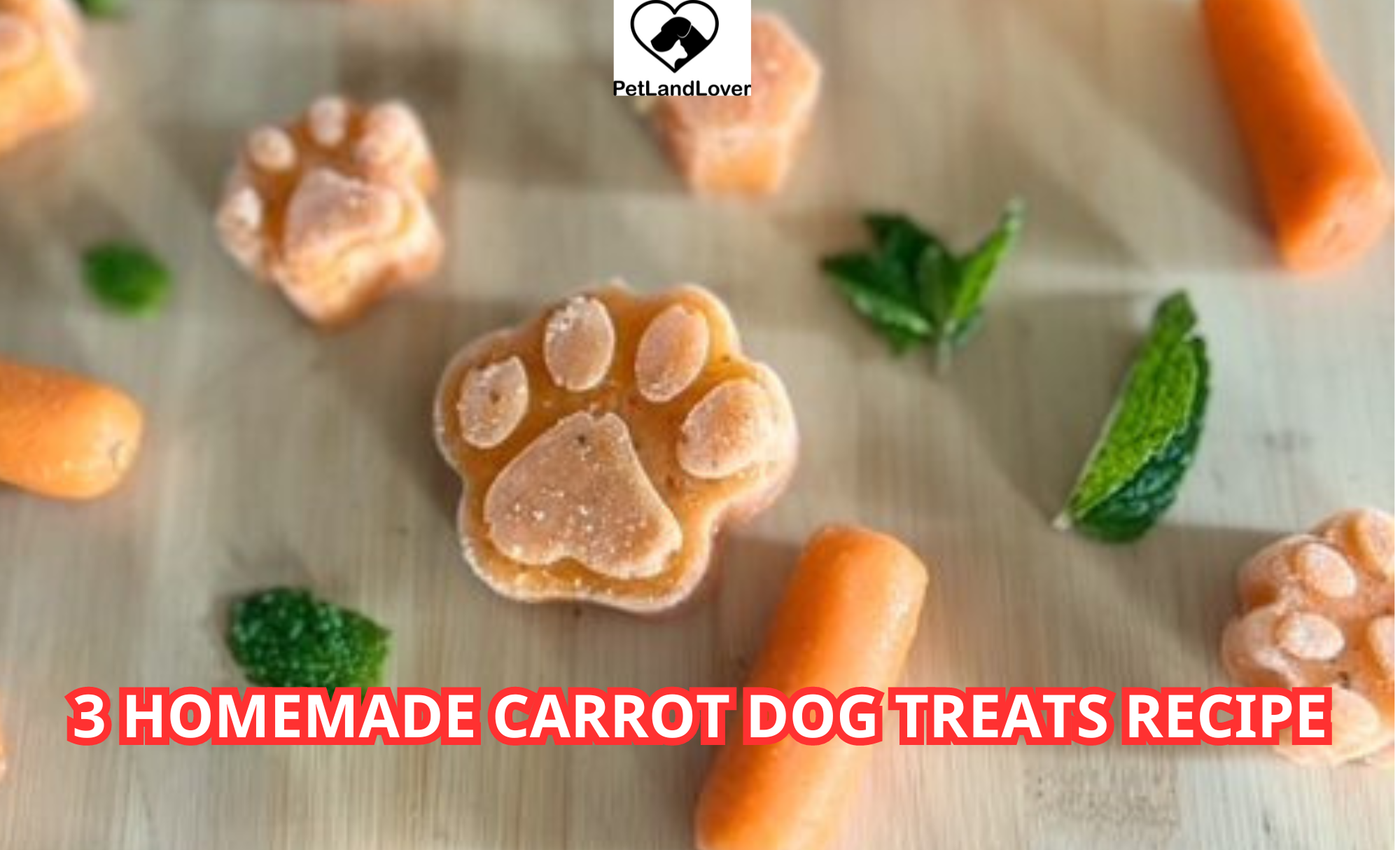 3 Homemade Carrot Dog Treats Recipe