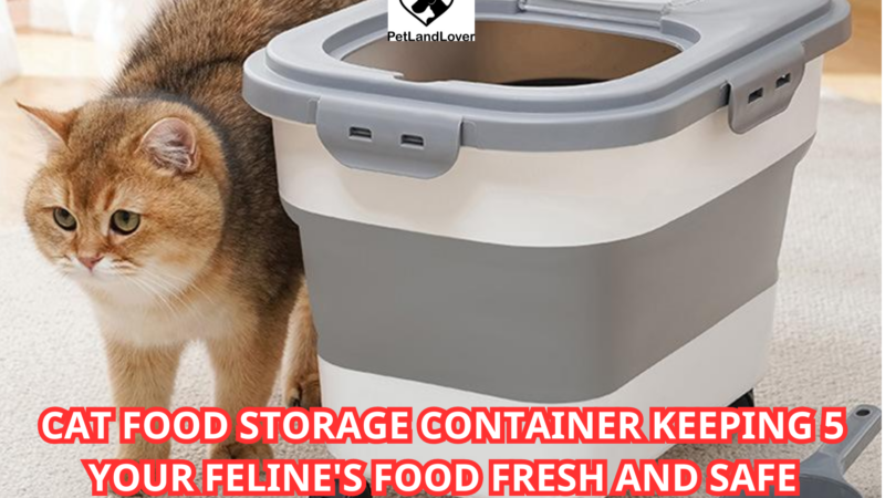 Cat Food Storage Container Keeping 5 Your Feline’s Food Fresh and Safe