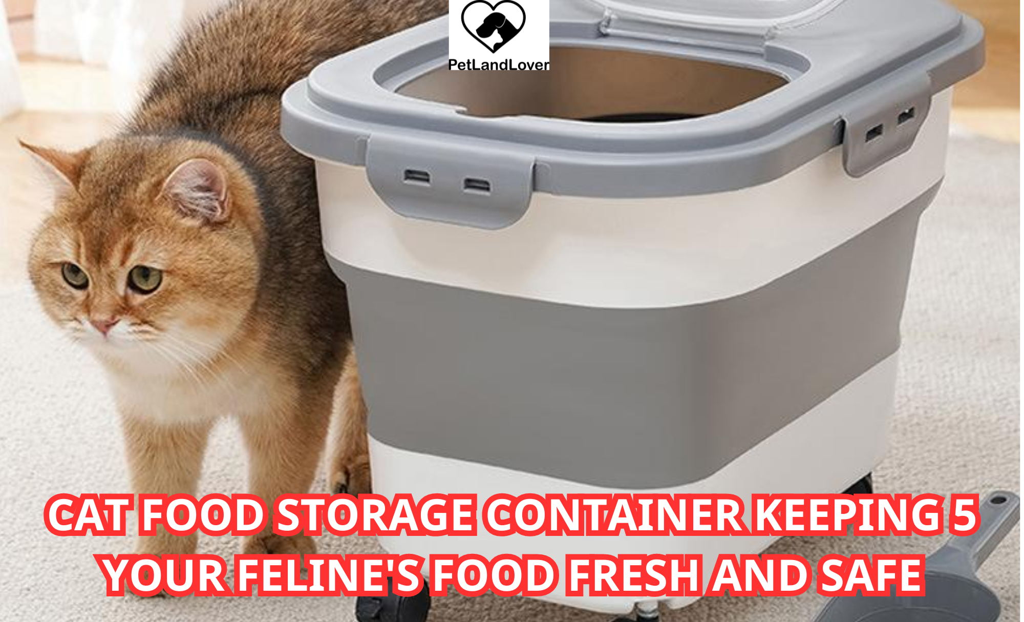 Cat Food Storage Container Keeping 5 Your Feline’s Food Fresh and Safe