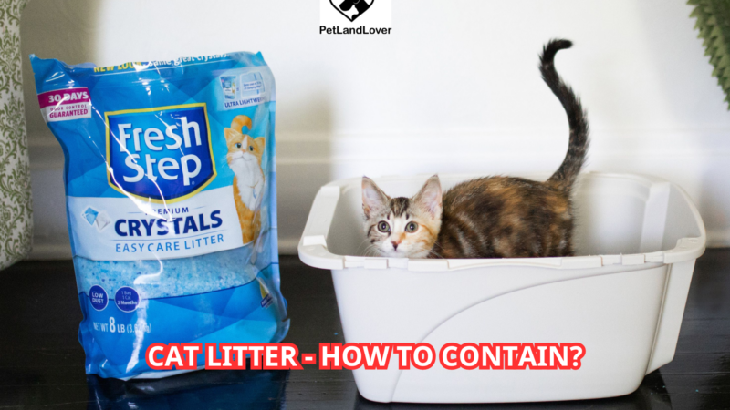 Cat Litter- How to contain?