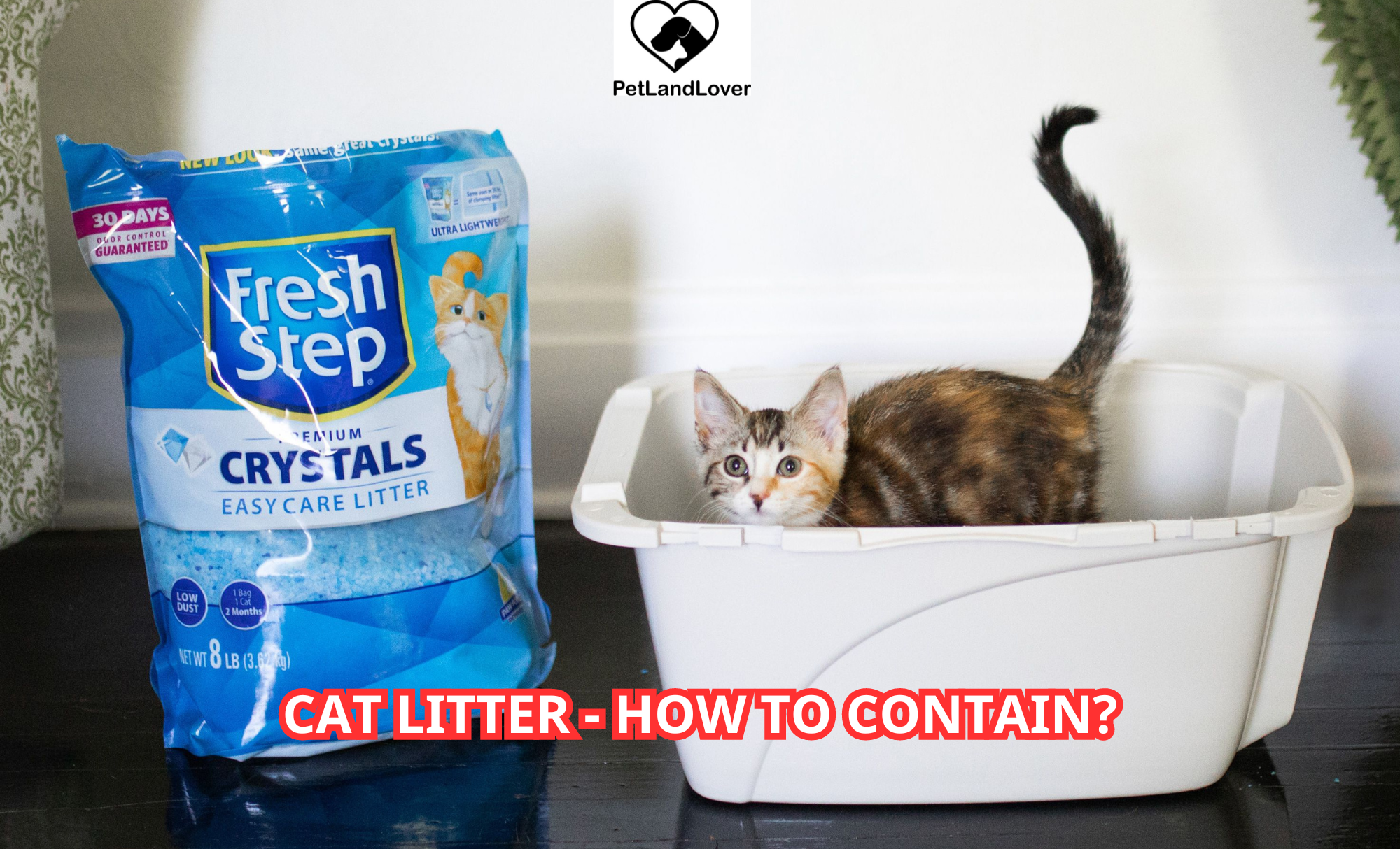 Cat Litter- How to contain?