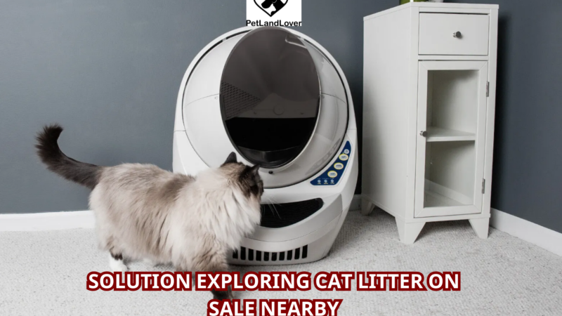 Solution Exploring Cat Litter on Sale Nearby