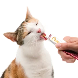 cat treat tube