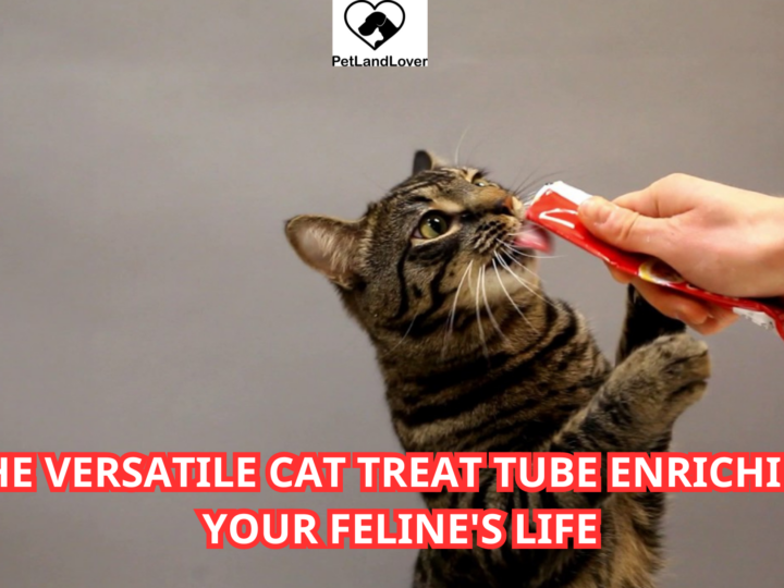 The Versatile Cat Treat Tube Enriching Your Feline’s Life