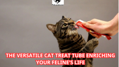 The Versatile Cat Treat Tube Enriching Your Feline’s Life