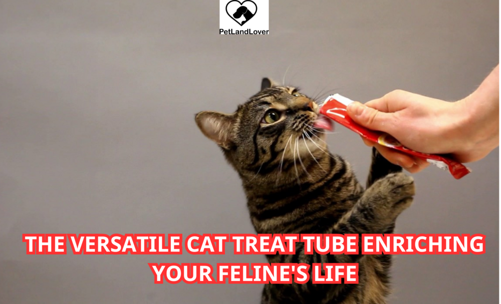 The Versatile Cat Treat Tube Enriching Your Feline’s Life