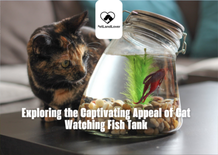 Exploring the Captivating Appeal of Cat Watching Fish Tank