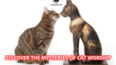 DISCOVER THE MYSTERIES OF CAT WORSHIP