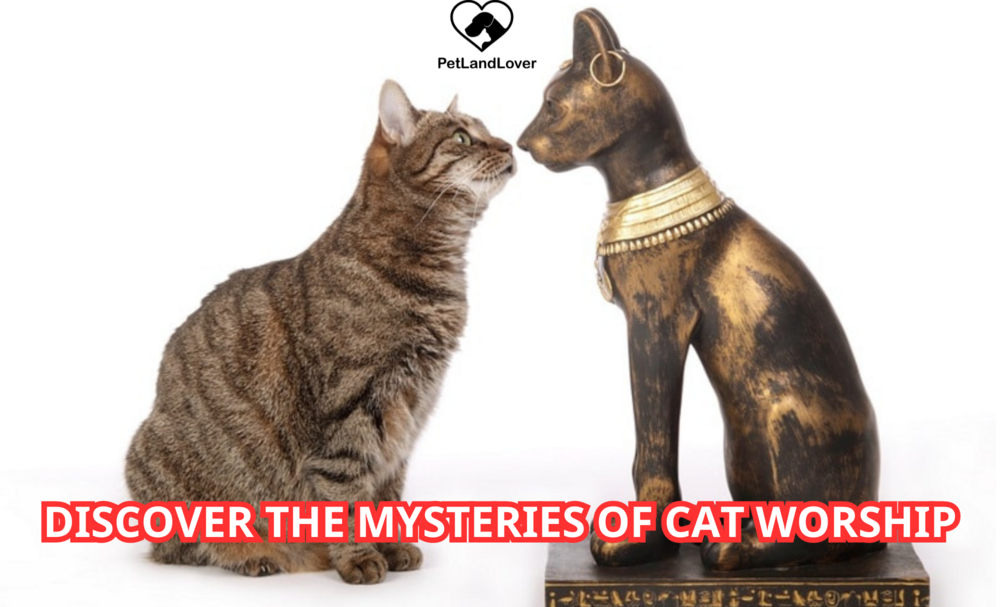 DISCOVER THE MYSTERIES OF CAT WORSHIP