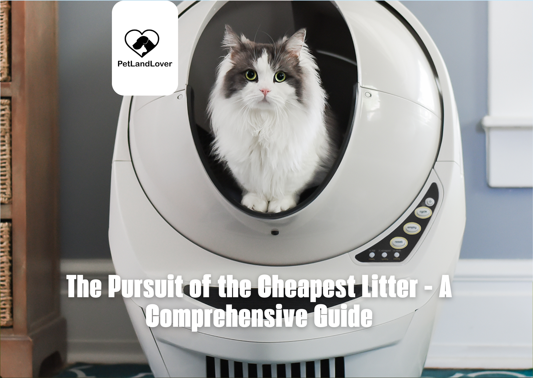 The Pursuit of the Cheapest Litter – A Comprehensive Guide