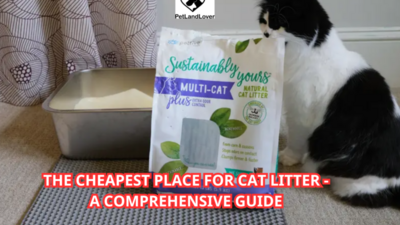 The Cheapest Place for Cat Litter – A Comprehensive Guide