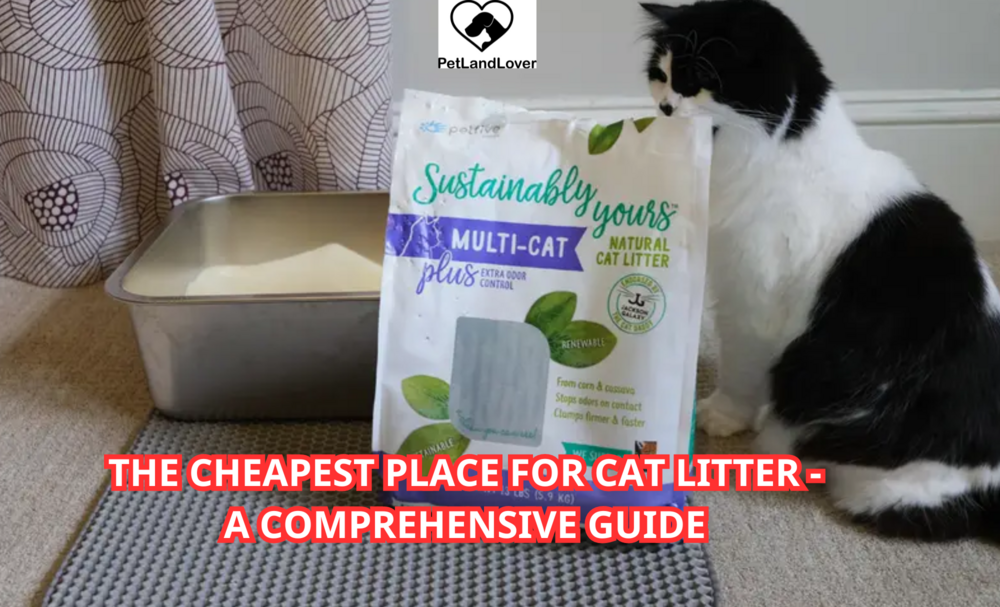 The Cheapest Place for Cat Litter – A Comprehensive Guide