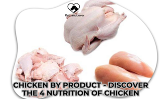 CHICKEN BY PRODUCT – DISCOVER THE 4 NUTRITION OF CHICKEN