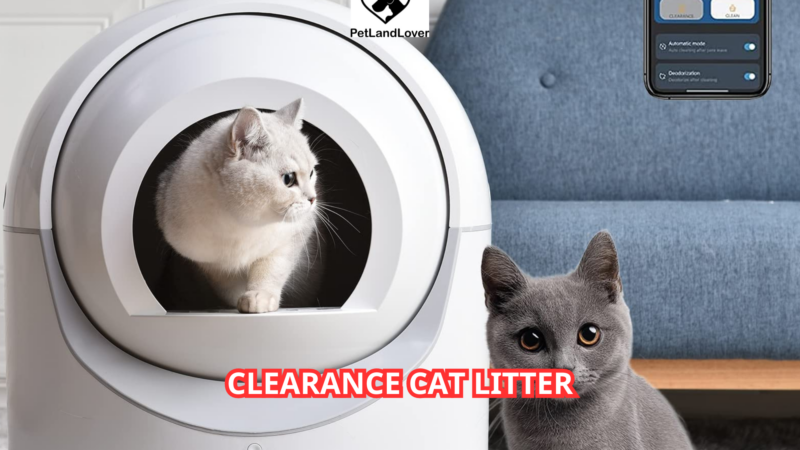 Clearance Cat Litter