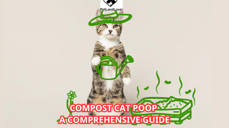 Compost Cat Poop – A Comprehensive Guide