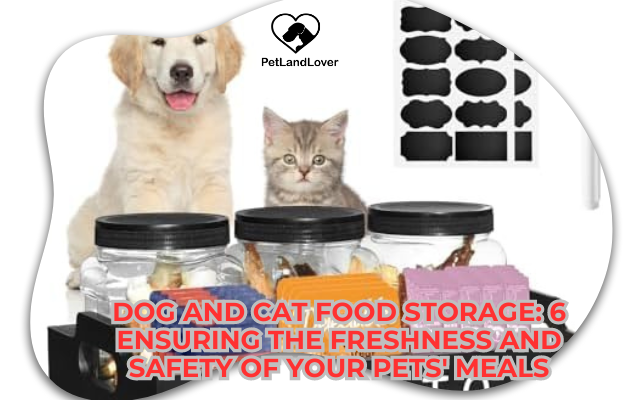 Dog and Cat Food Storage: 6 Ensuring the Freshness and Safety of Your Pets’ Meals