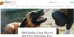 dog blog