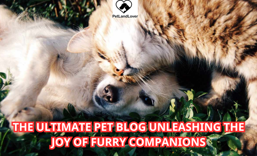 The Ultimate Pet Blog Unleashing the Joy of Furry Companions