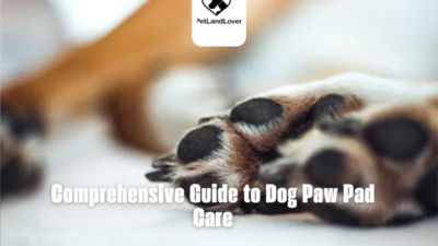 Comprehensive Guide to Dog Paw Pad Care