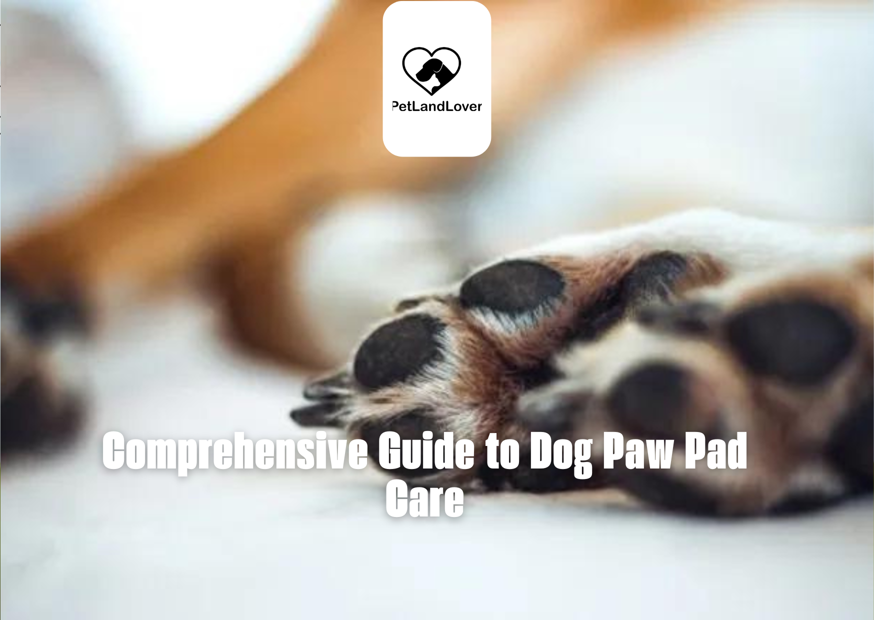 Comprehensive Guide to Dog Paw Pad Care